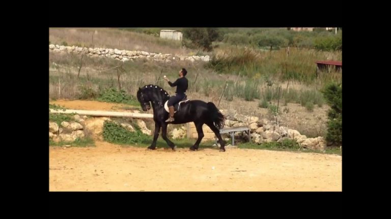 Francesco Nobile en Goliath
