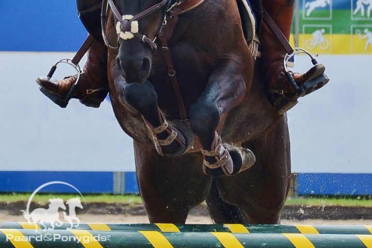 Tania van Leeuwen wint tweede KNHS Hartog Lucerne wedstrijd
