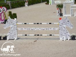 /images/10052016furusiyya.jpg