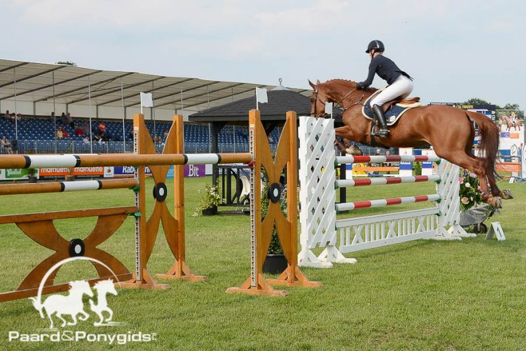 Springteams bekend voor Dutch Youngster Festival