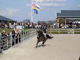 /nieuws/nieuws_img/ Bertram Allen met GK Casper.jpg