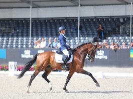 /images/Adelinde Cornelissen 15072017.jpg