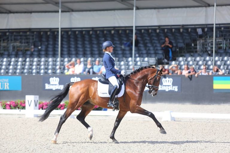 WK selectie jonge dressuurpaarden bekend