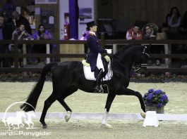 /images/Adelinde Cornelissen 20052017.jpg