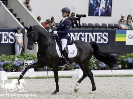 /images/Adelinde Cornelissen 30052017.jpg