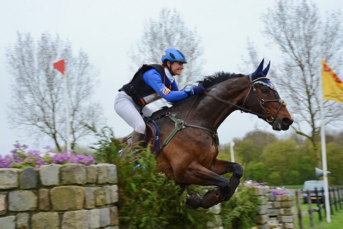 /images/Alice Naber Lozeman_ACSI Peter Parker 11092015.jpg