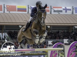 /images/Aniek Poels.jpg