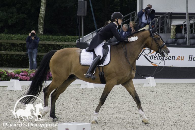 Lancering van Go Social Talents tijdens Indoor Brabant