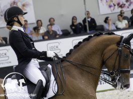 /images/Anne Meulendijks 19072017.jpg