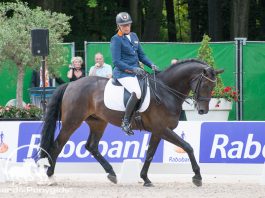 /images/Annemarieke Roling30112017.jpg
