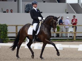 /images/Bart Veeze_Delgado.jpg