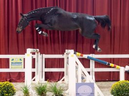 /nieuws/nieuws_img/Blantyre EB Z.jpg