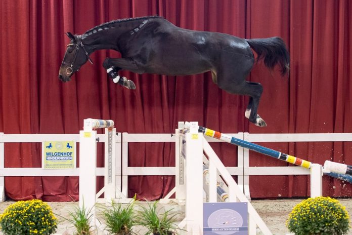 /nieuws/nieuws_img/Blantyre EB Z.jpg /nieuws/nieuws_img/Blantyre EB Z.jpg