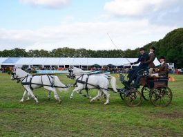 /images/Bram Chardon 06092015.jpg