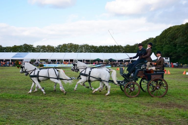 Weer WK goud voor Bram Chardon en het Nederlands ponyteam