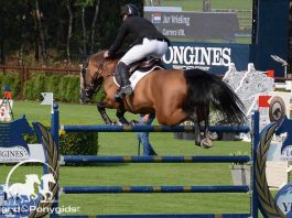 /images/Carrera VDL.jpg