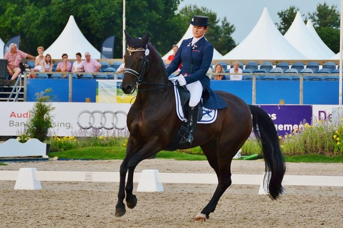 /images/Claudia Fassaert _Donnerfee.jpg