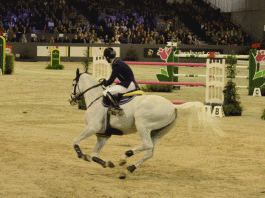 /images/Daniel Deusser en Cornet D Amour  Indoor Brabant.gif