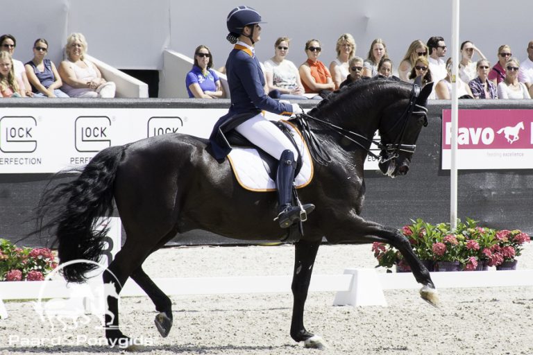 Cornelissen en Heijkoop aan kop in tussenklassement KNHS-kampioenschappen ZZ-Zwaar en Lichte Tour