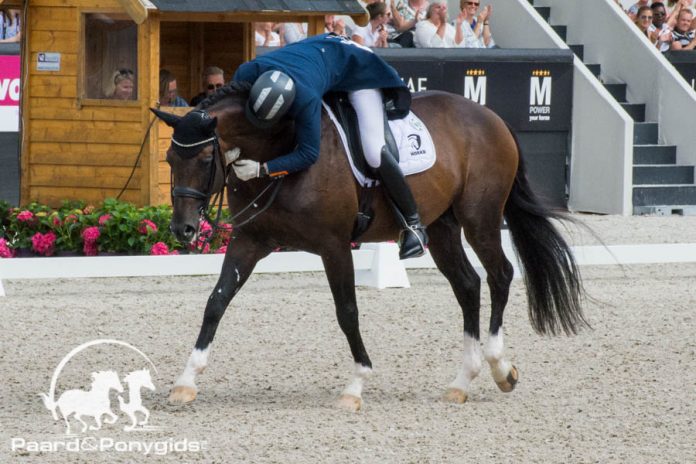 /images/Diederik van Silfhout 17072016.jpg