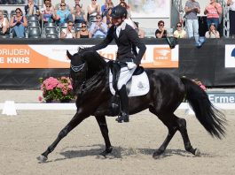 Test Diederik