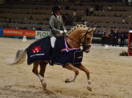 /images/Edmundo 06022016.jpg