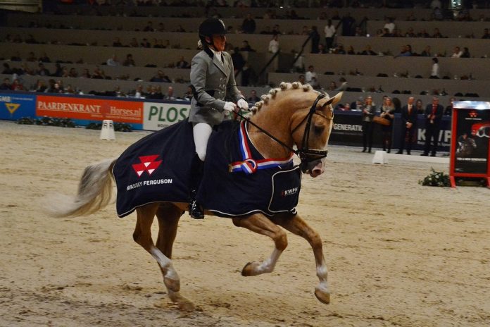 /images/Edmundo 06022016.jpg