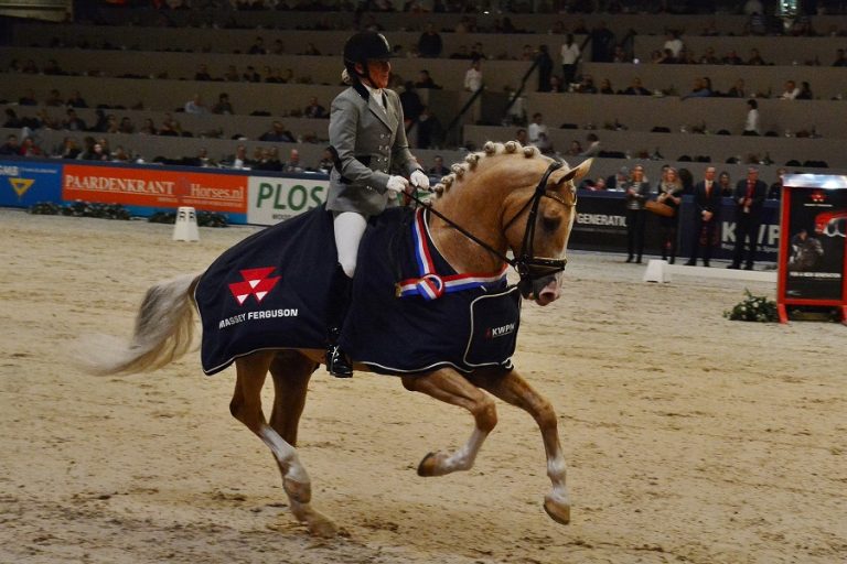 Edmundo winnaar hengstencompetitie Gelders Paard