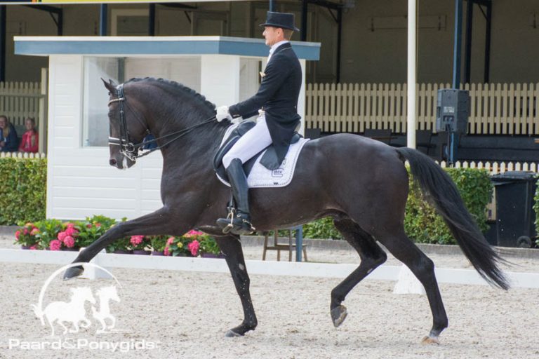 CDI Roosendaal: Edward Gal wint met Zonik ook GP Special