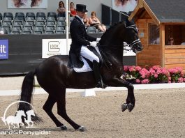 /images/Edward Gal 10082016.jpg