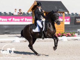 /images/Edward Gal 15072016.jpg