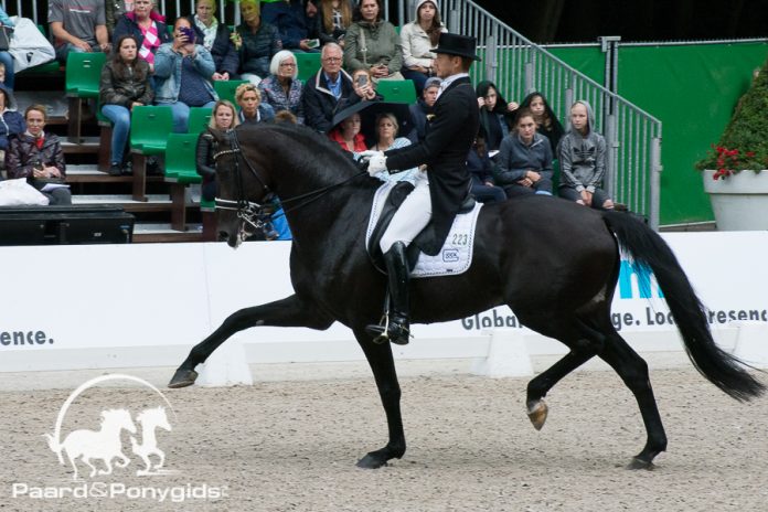 /images/Edward Gal 24062017.jpg