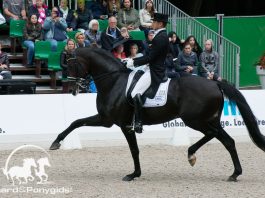 /images/Edward Gal Glocks Zonik 12122017.jpg