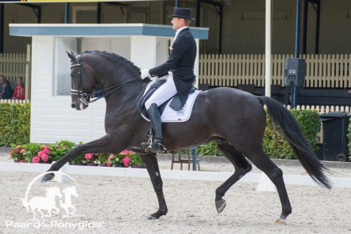 /images/Edward Gal zonik 15072016.jpg