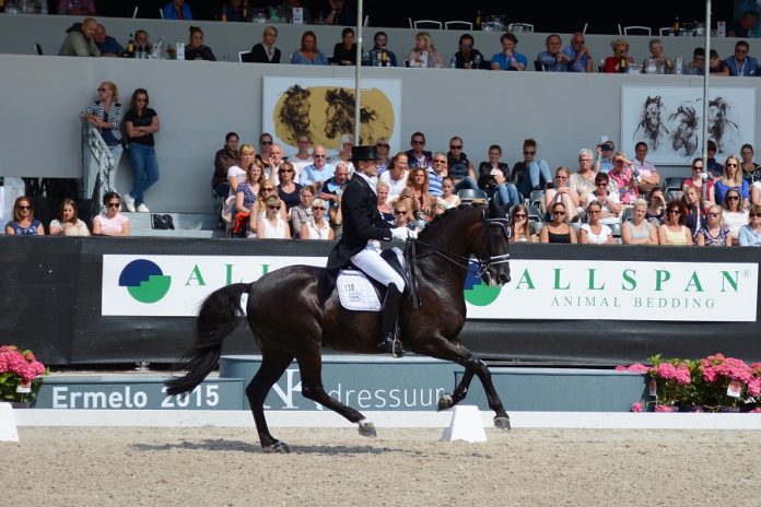 /images/Edward Gal_Glocks Voice.jpg