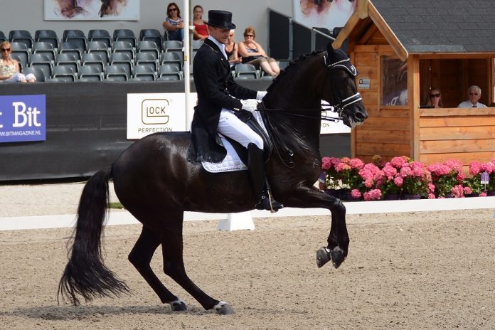 /images/Edward Gal_Glocks Voice 06122015.jpg