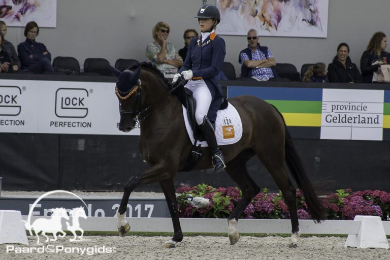 Ook zilver voor Young Riders team op EK dressuur Roosendaal