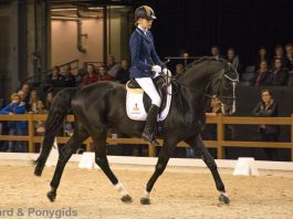 /images/Estee Gerritsen.jpg