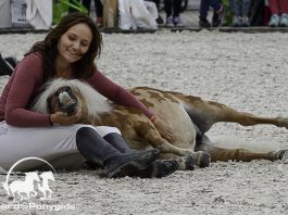 /images/Eva Roemaat 06012017.jpg