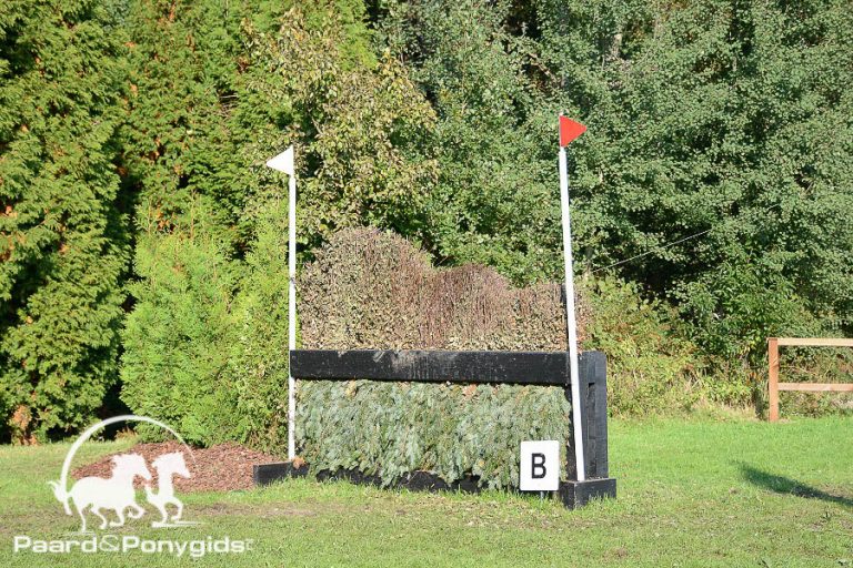 Belgische amazone overlijdt na ongeval op eventingwedstrijd