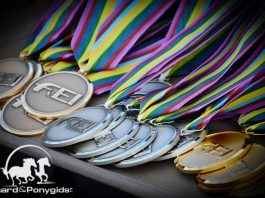 Nederlandse Children winnen teamzilver op EK dressuur
