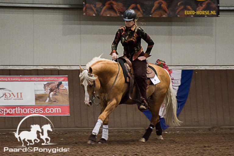 CRI3* Reining in Grathem gewonnen door Lia Freriks