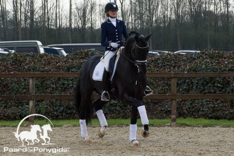 Four Legends onder de hamer tijdens WK jonge dressuurpaarden