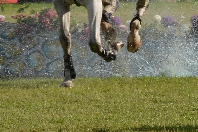 Update: William Fox-Pitt bij bewustzijn