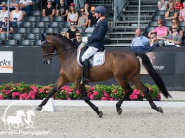 /images/Frank Hosmar 13012018.jpg