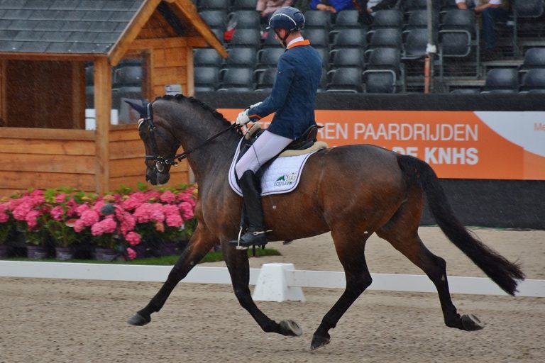 EK Para-Dressuur: Nederlandse ruiters voortvarend van start