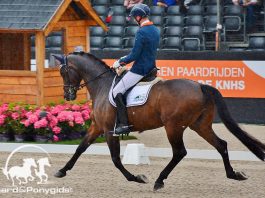 /images/Frank Hosmar 22042016.jpg