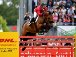 /nieuws/nieuws_img/Gazelle en Kent Farrington.jpg