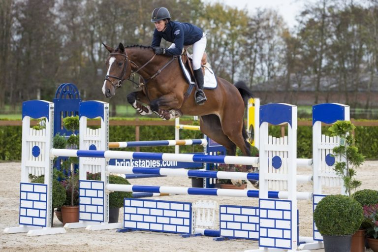 Hoogste prijs voor Gezel en Gijanta bij  Sale of the Rising Stars