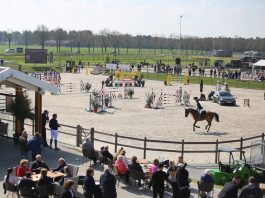 /nieuws/nieuws_img/Gras en zandpistes op De Peelbergen.jpg